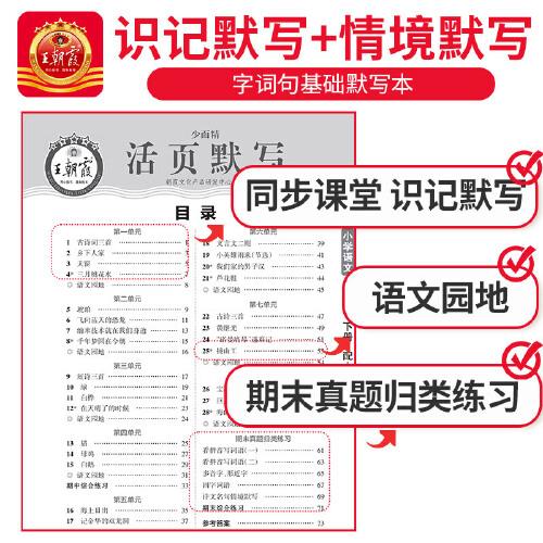 2024王朝霞少而精·活页默写小学四年级4年级语文部编版人教版（下）