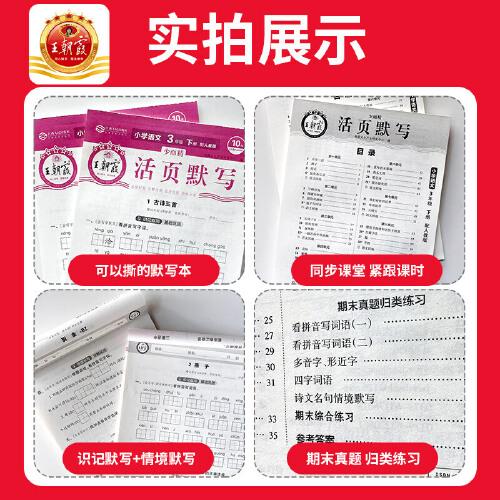 2024王朝霞少而精·活页默写小学四年级4年级语文部编版人教版（下）