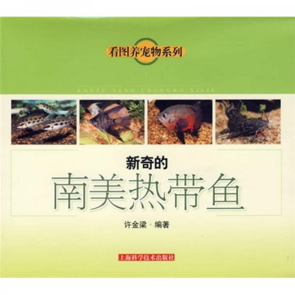 新奇的南美熱帶魚