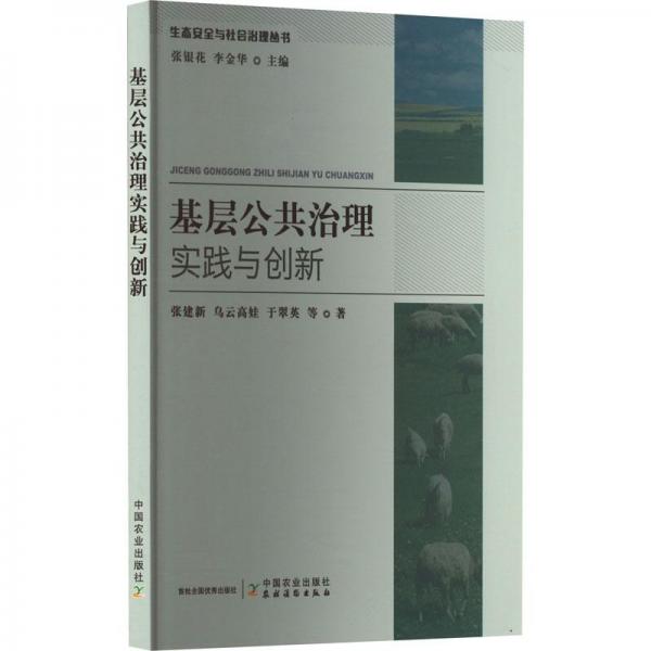 基层公共治理实践与创新