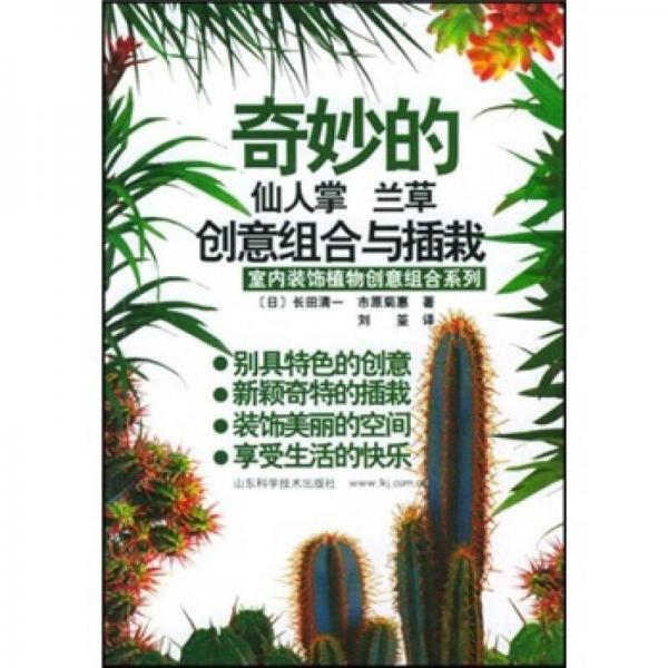 奇妙的仙人掌 蘭草創(chuàng)意組合與插栽