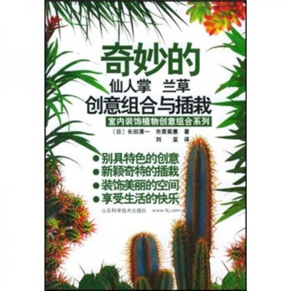 奇妙的仙人掌 兰草创意组合与插栽