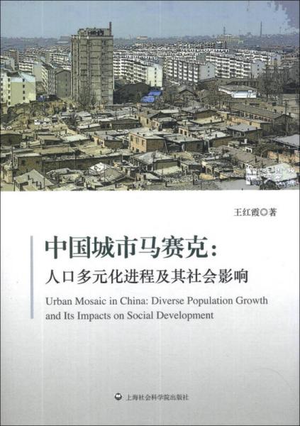 中国城市马赛克：人口多元化进程及其社会影响