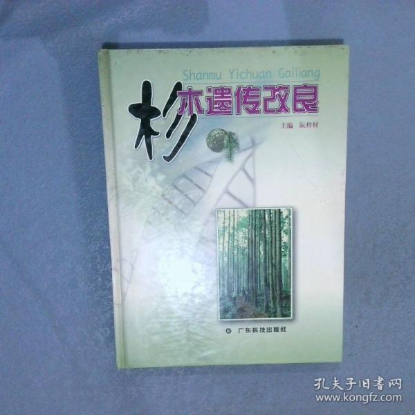 杉木遺傳改良