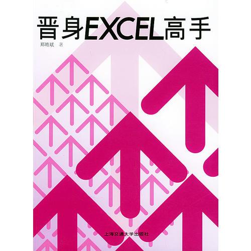 晋身Excel高手