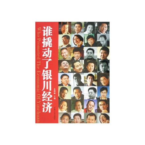 誰撬動(dòng)了銀川經(jīng)濟(jì)