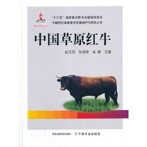 中国草原红牛