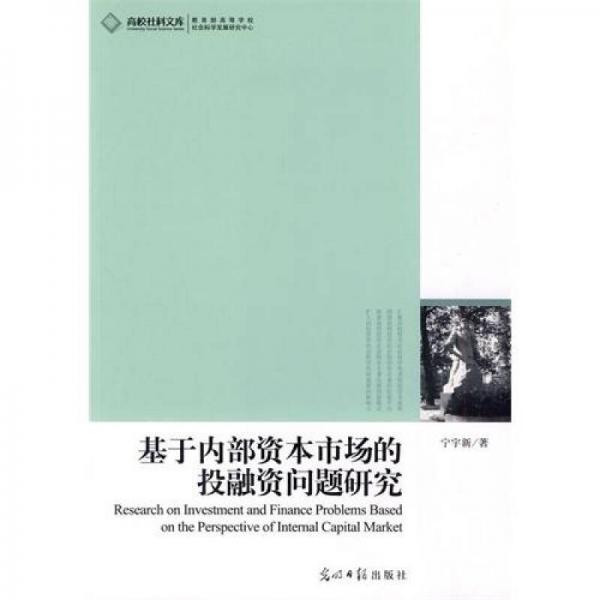 基于內(nèi)部資本市場(chǎng)的投融資問(wèn)題研究