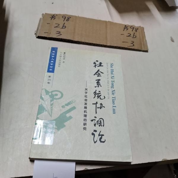 社會(huì)系統(tǒng)協(xié)調(diào)論:關(guān)于社會(huì)發(fā)展機(jī)理的研究