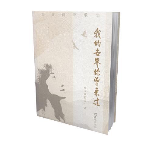 我的世界你曾來過