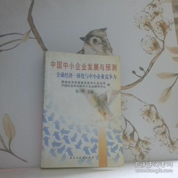 中國中小企業(yè)發(fā)展與預測:全球經濟一體化與中小企業(yè)競爭力