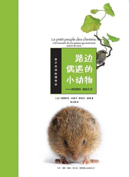 路邊偶遇的小動物