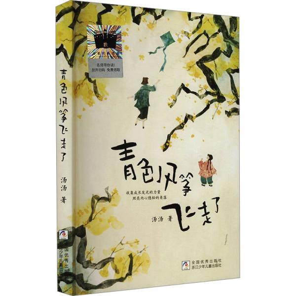 青色風(fēng)箏飛走了 湯湯 著