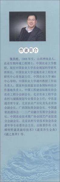 中国蔬菜的丝绸之路