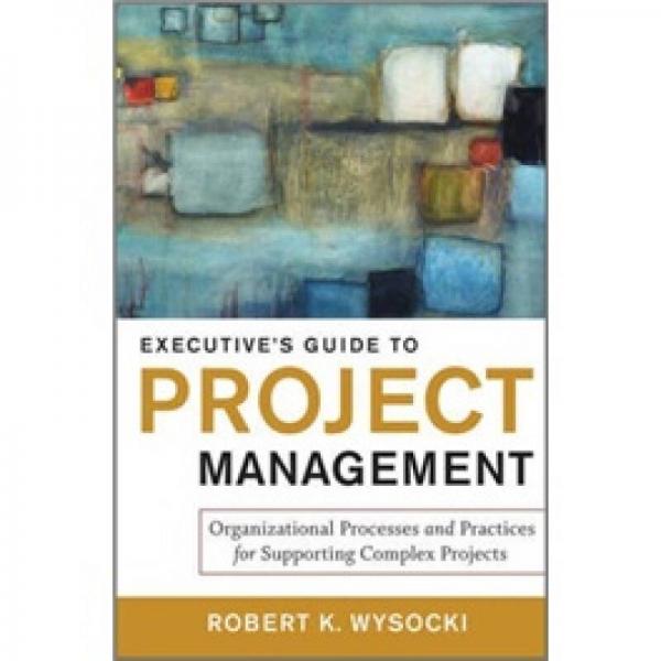 Executive's Guide to Project Management 項(xiàng)目管理執(zhí)行指南：支持復(fù)雜項(xiàng)目的組織過程與做法