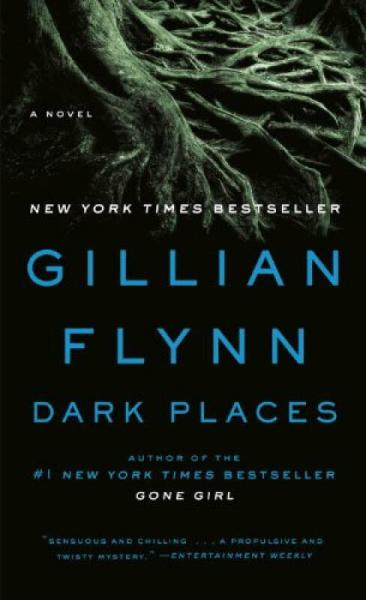 Dark Places:A Novel黑暗之地 英文原版