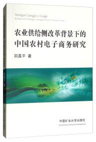 農(nóng)業(yè)供給側(cè)改革背景下的中國農(nóng)村電子商務(wù)研究