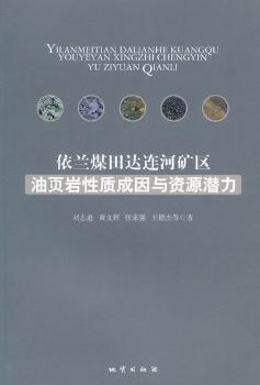 依蘭煤田達連河礦區(qū)油頁巖性質成因與資源潛力
