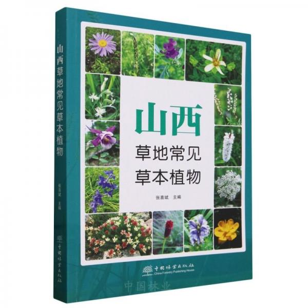 山西草地常見草本植物