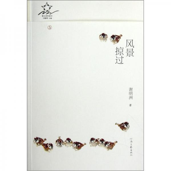 風(fēng)景掠過