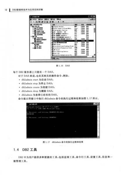 ：DB2数据库技术与应用实例详解