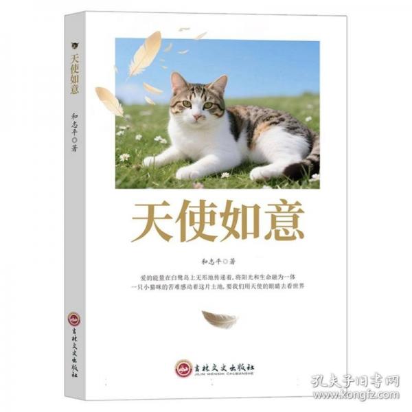天使如意