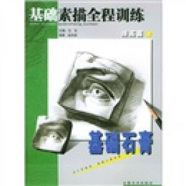 基礎(chǔ)素描全程訓(xùn)練（提高篇）（上）：基礎(chǔ)石膏