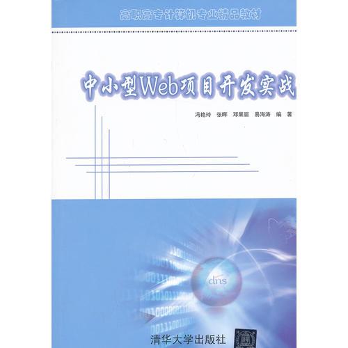 中小型Web项目开发实战（中小型Web项目开发实战）