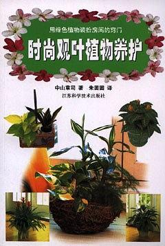 時尚觀葉植物養(yǎng)護