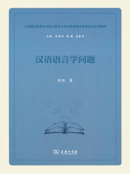 汉语语言学问题/汉语国际教育专业硕士研究生综合改革试点系列教材