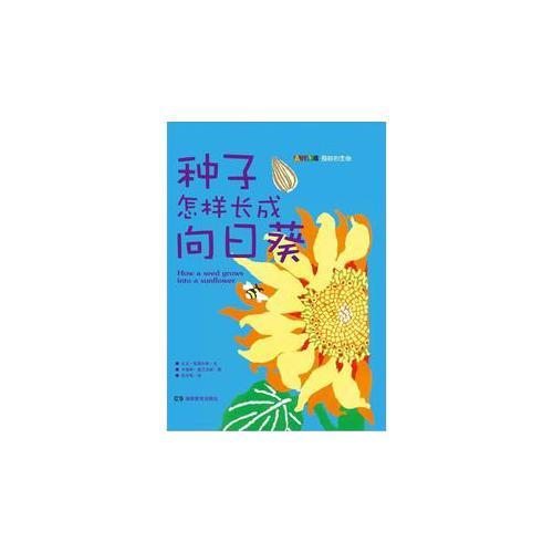 種子怎樣長成向日葵