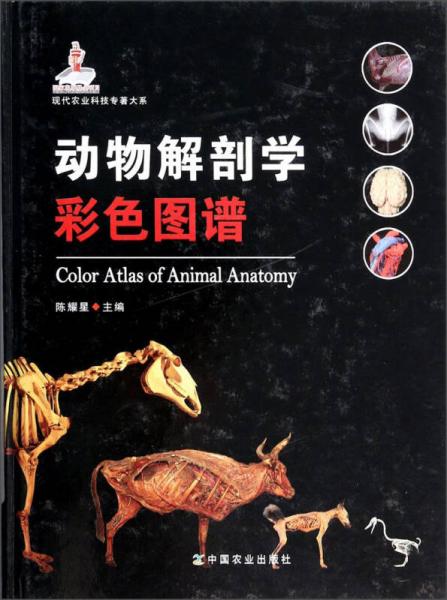 现代农业科技专著大系：动物解剖学彩色图谱