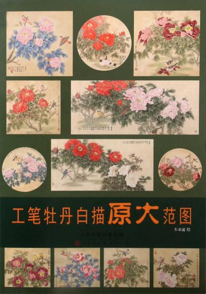 工筆牡丹白描原大范圖