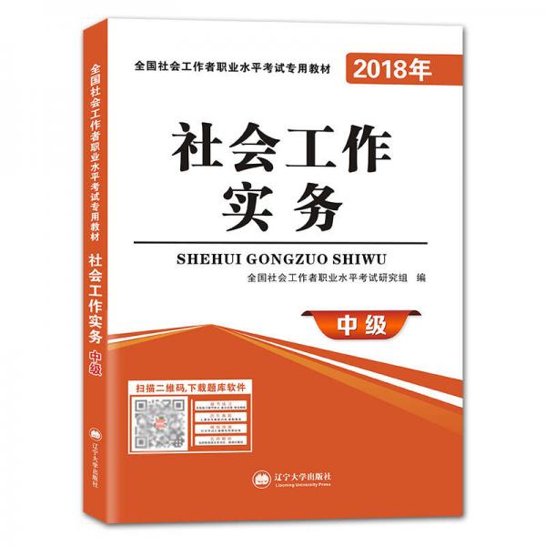 社会工作者职业资格考试2018年教材 社会工作实务（中级）