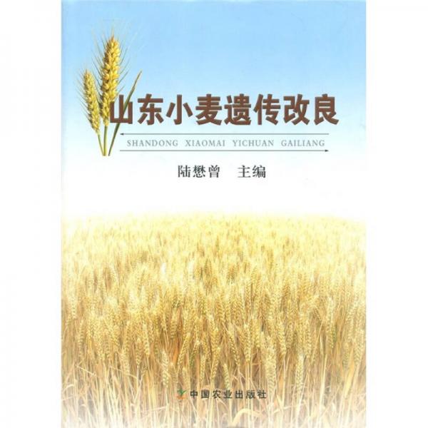 山東小麥遺傳改良