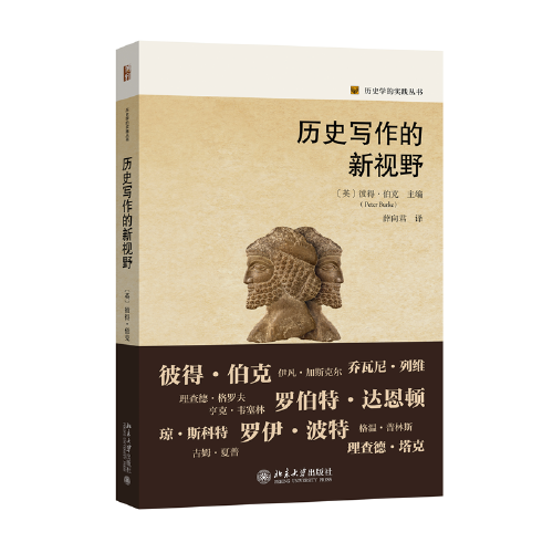 歷史寫作的新視野 歷史學(xué)的實(shí)踐叢書