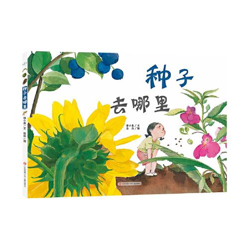 種子去哪里