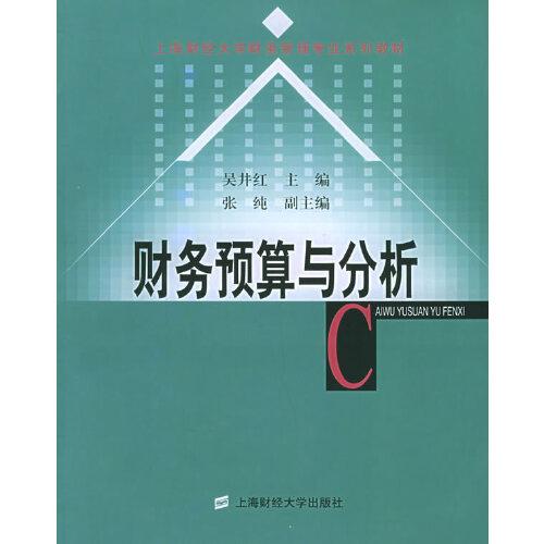 財(cái)務(wù)預(yù)算與分析