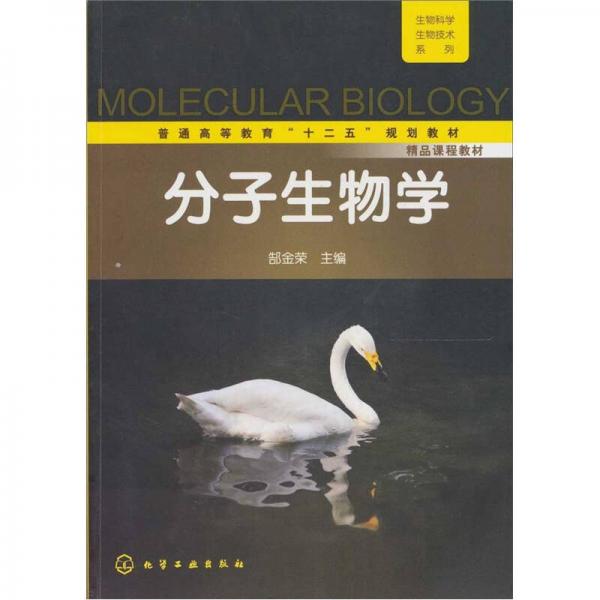 生物科學(xué)生物技術(shù)系列：分子生物學(xué)