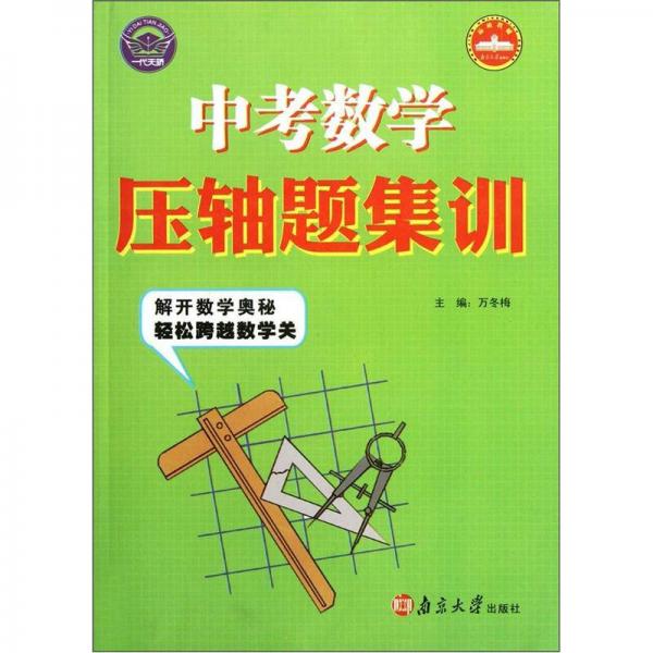中考數(shù)學(xué)壓軸題集訓(xùn)