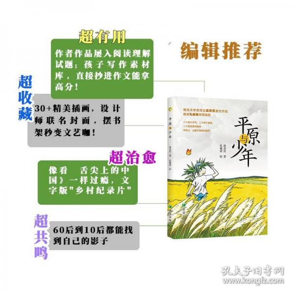 平原與少年