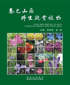 秦巴山區(qū)野生觀賞植物