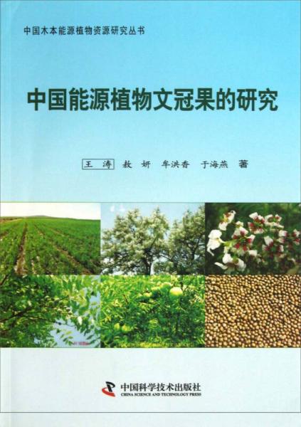 中國(guó)木本能源植物資源研究叢書(shū)：中國(guó)能源植物文冠果的研究