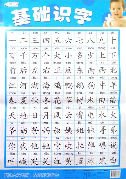 寶寶啟蒙必備大掛圖：基礎識字