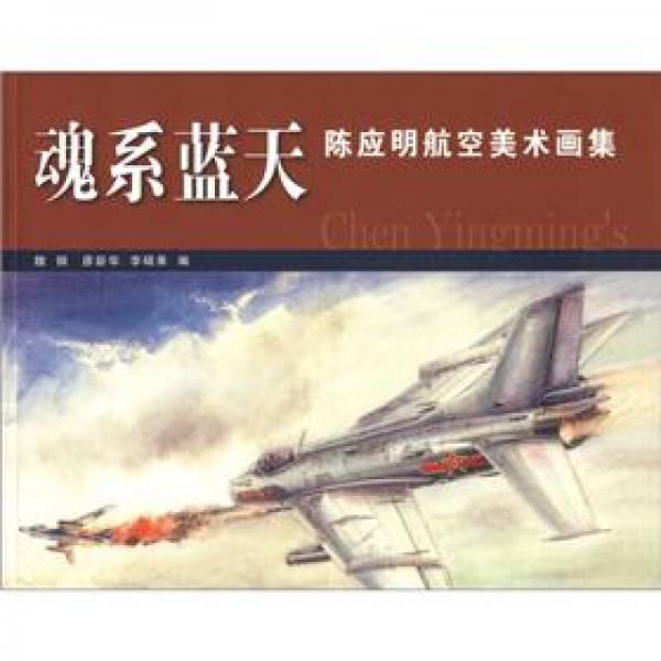 魂系藍天-陳應(yīng)明航空美術(shù)畫集