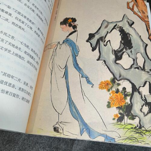 苏东坡传：几时归去 作个闲人