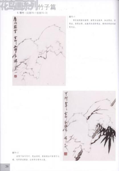 析疑解惑·花鸟画系列：竹子篇