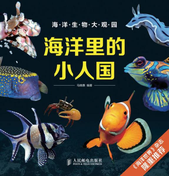 海洋生物大观园：海洋里的小人国