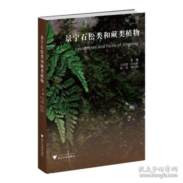景寧石松類和蕨類植物