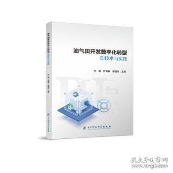 油氣田開發(fā)數(shù)字化轉(zhuǎn)型BI技術(shù)與實(shí)踐